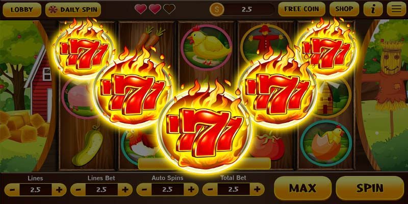 6666d